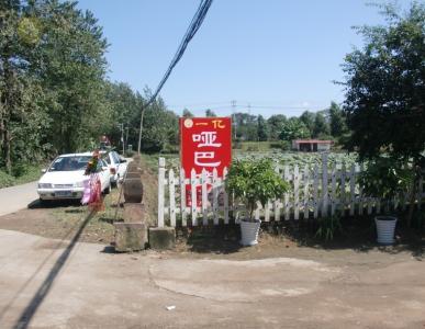 一億啞巴兔成都店新店三圣鄉荷塘店開張！！